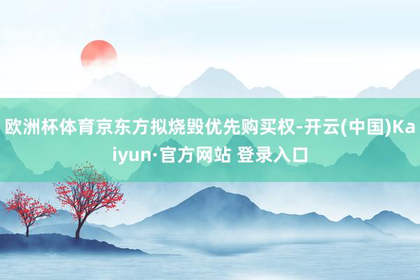 欧洲杯体育京东方拟烧毁优先购买权-开云(中国)Kaiyun·官方网站 登录入口