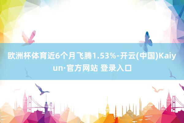 欧洲杯体育近6个月飞腾1.53%-开云(中国)Kaiyun·官方网站 登录入口