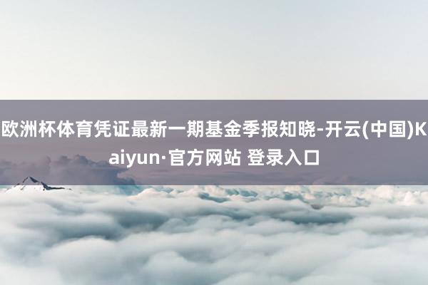 欧洲杯体育凭证最新一期基金季报知晓-开云(中国)Kaiyun·官方网站 登录入口