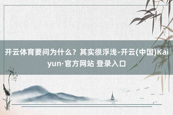 开云体育要问为什么？其实很浮浅-开云(中国)Kaiyun·官方网站 登录入口