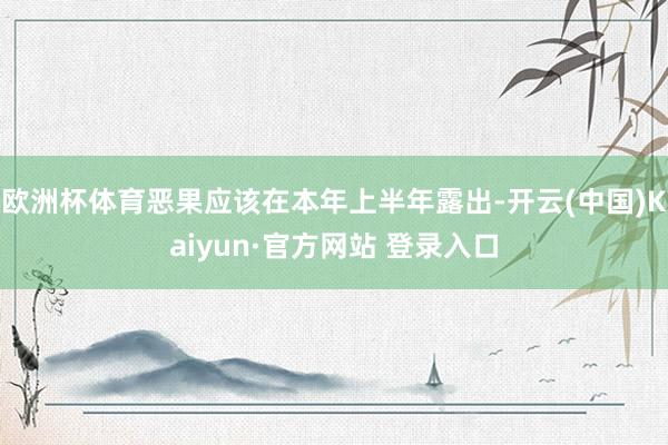 欧洲杯体育恶果应该在本年上半年露出-开云(中国)Kaiyun·官方网站 登录入口