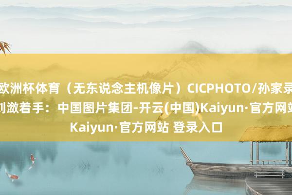 欧洲杯体育（无东说念主机像片）CICPHOTO/孙家录 摄　　裁剪：刘潋　　着手：中国图片集团-开云(中国)Kaiyun·官方网站 登录入口