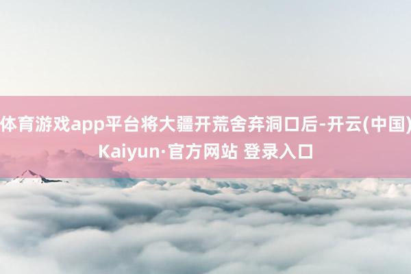 体育游戏app平台将大疆开荒舍弃洞口后-开云(中国)Kaiyun·官方网站 登录入口
