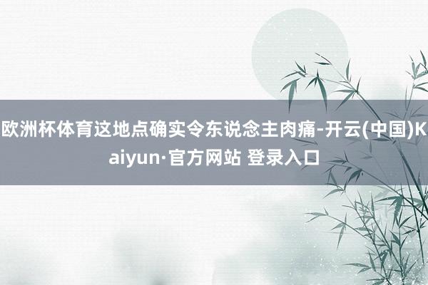 欧洲杯体育这地点确实令东说念主肉痛-开云(中国)Kaiyun·官方网站 登录入口