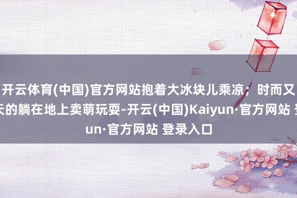 开云体育(中国)官方网站抱着大冰块儿乘凉；时而又四脚朝天的躺在地上卖萌玩耍-开云(中国)Kaiyun·官方网站 登录入口