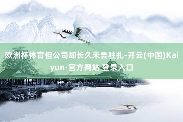 欧洲杯体育但公司却长久未尝驻扎-开云(中国)Kaiyun·官方网站 登录入口