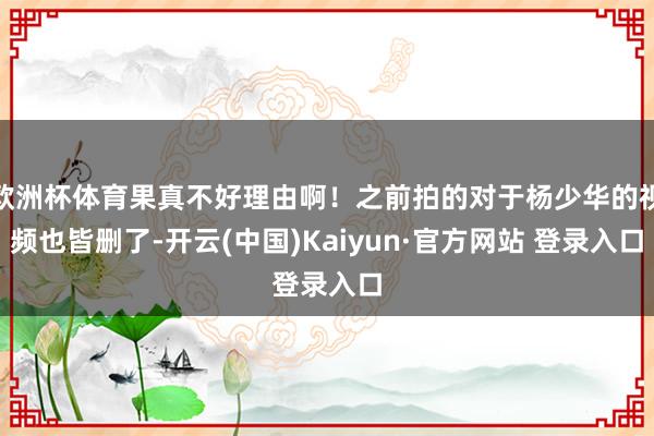欧洲杯体育果真不好理由啊！之前拍的对于杨少华的视频也皆删了-开云(中国)Kaiyun·官方网站 登录入口