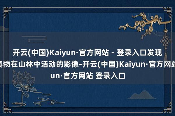 开云(中国)Kaiyun·官方网站 - 登录入口发现多种野天真物在山林中活动的影像-开云(中国)Kaiyun·官方网站 登录入口