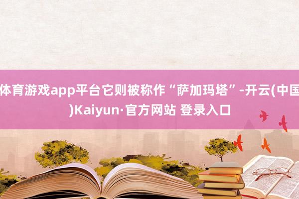 体育游戏app平台它则被称作“萨加玛塔”-开云(中国)Kaiyun·官方网站 登录入口