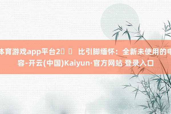体育游戏app平台2️⃣ 比引脚缅怀:全新未使用的电容-开云(中国)Kaiyun·官方网站 登录入口