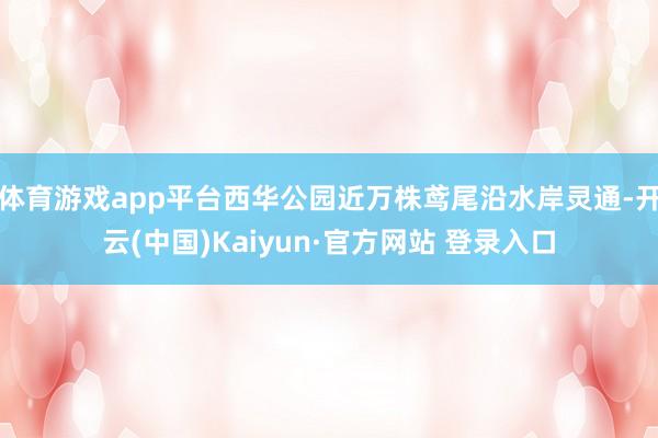 体育游戏app平台西华公园近万株鸢尾沿水岸灵通-开云(中国)Kaiyun·官方网站 登录入口